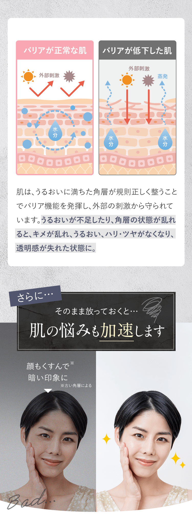 バリアが正常な肌とバリアが低下した肌