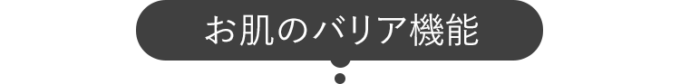 お肌のバリア機能