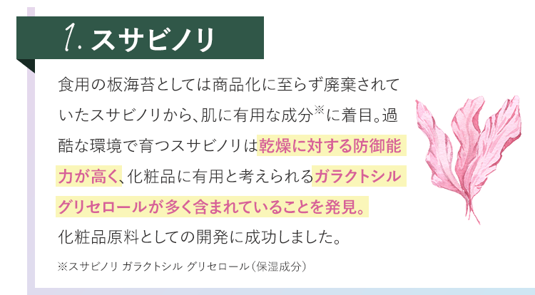 スサビノリの説明