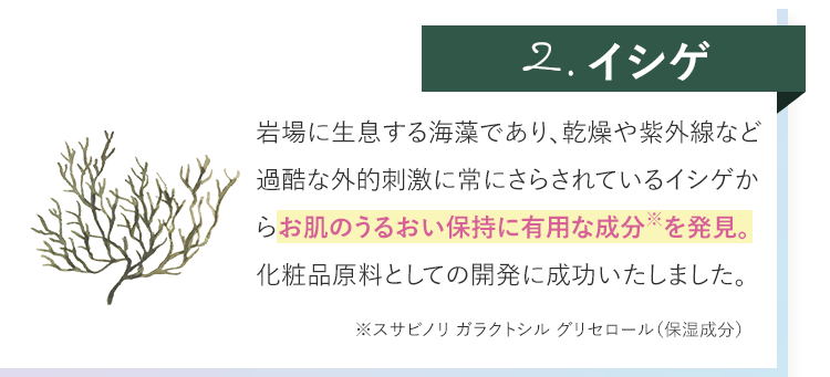 イシゲの説明