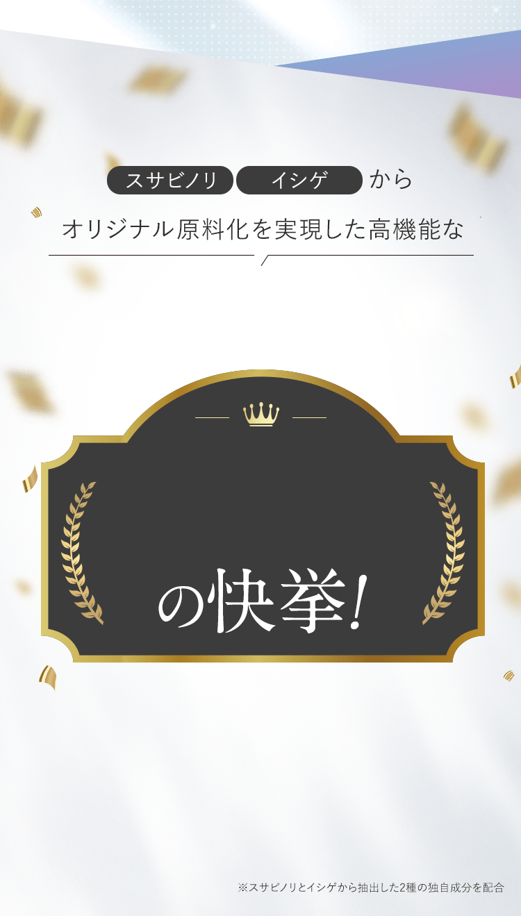 オリジナルの減量化を実現した高機能な