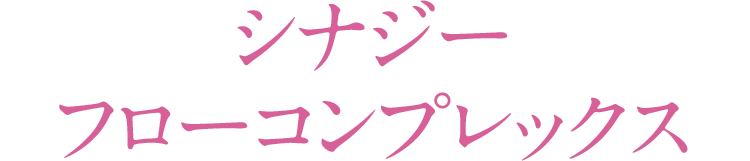 シナジーフローコンプレックス