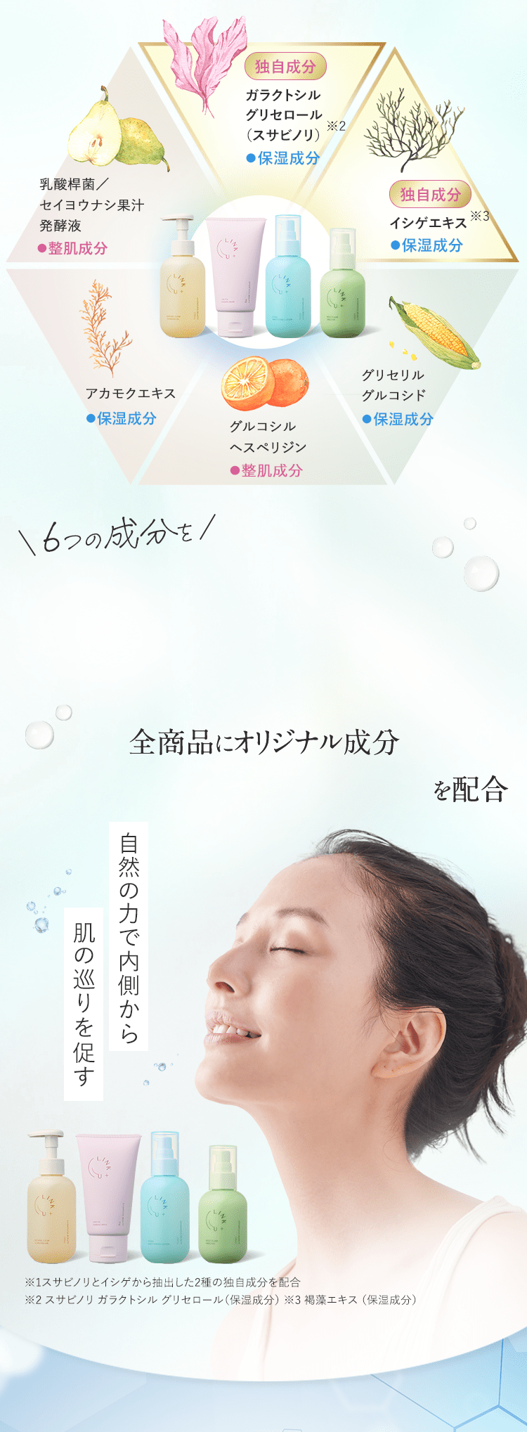 6つの成分リスト