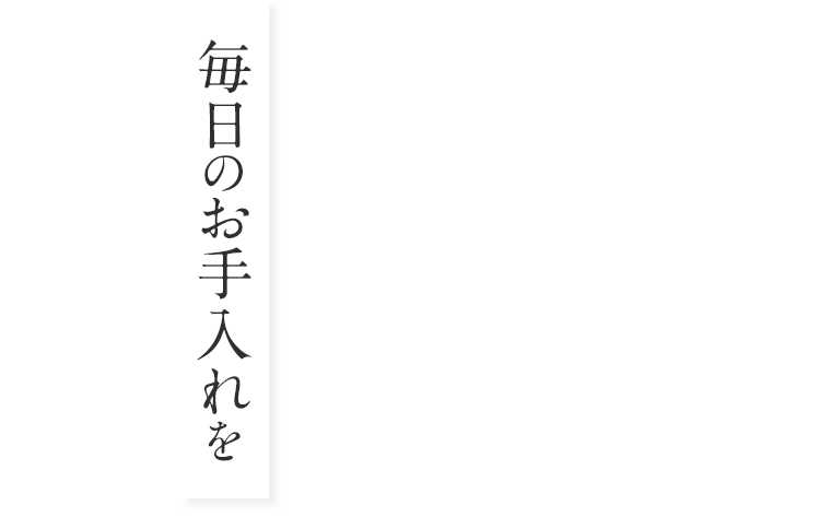 毎日のお手入れを